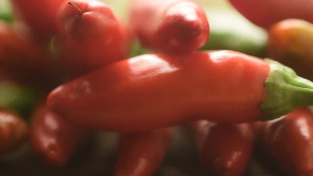 Capsicum Pimientos Chili Paprika Տաքդեղ Chilis Peperoncino &Pi;&iota;&pi;&epsilon;&rho;&iota;ά piccante トウガラシ属 Peperoncini Biber Piments Chi Ớt rossi Paprikat video Pipiruni فليفلة