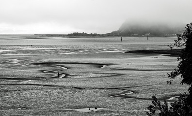 Mudflats at Low Tide on a Foggy Day in black and white