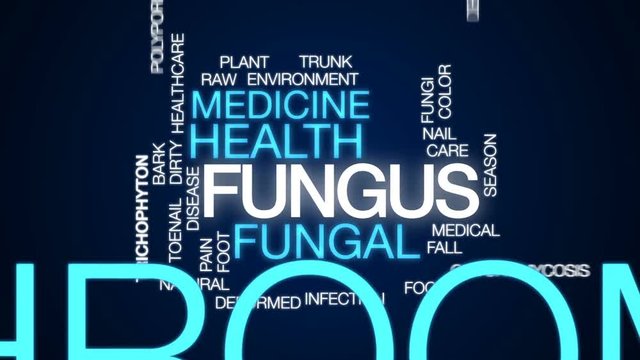Fungus animated word cloud, text design animation.