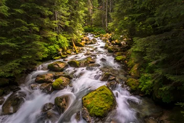 Foto auf Alu-Dibond I rushing river flowing though the North Cascades National Park in Washington state © skiserge1