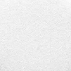 Blank white paper textured background