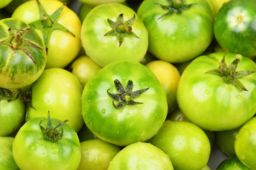 Green tomato, close up