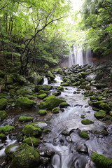 Obraz premium 那須塩原市 乙女の滝