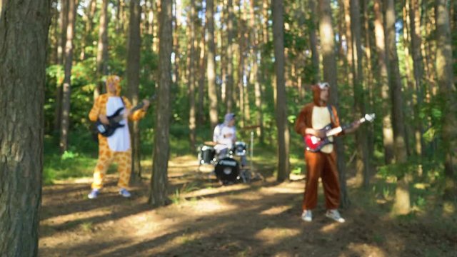 Mad people in animals costumes dances, jumps, have fun in forest on grass. Guys and girl musicians dressed the costumes of zebra, jaguar, giraffe, bear, squirrel plays music with guitar, bass, drums