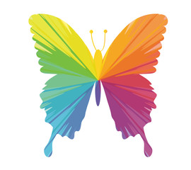 butterfly fly multicolored abstract icon