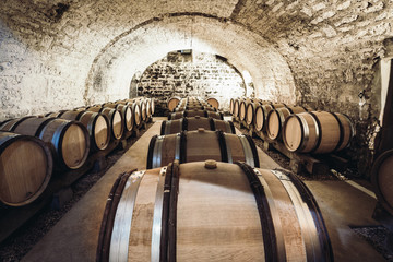 Barrels of wine stand in a row