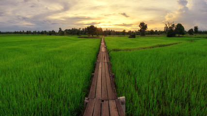 Wooden bridge 100 years old, Khok grachai, Khon Buri in Nakhon Ratchasima at Thailand.