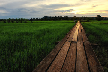 Wooden bridge 100 years old, Khok grachai, Khon Buri in Nakhon Ratchasima at Thailand.