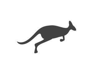 Kangaroo Icon Vector