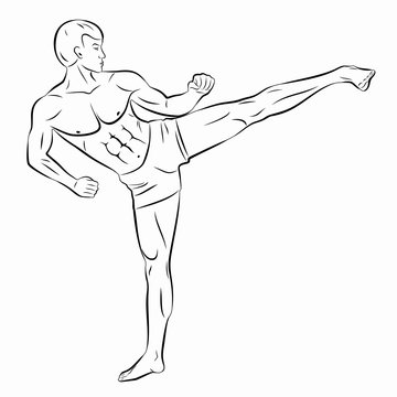 illustration of a kickboxer, vector draw