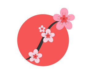 pink cherry blossom flower plants nature icon image vector