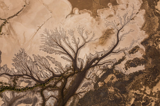 Aerial Tidal Creek Patterns, Kimberly Coast