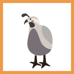 Illustration drawing style of animal