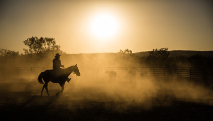 mustering, Kimberley, Western Australia