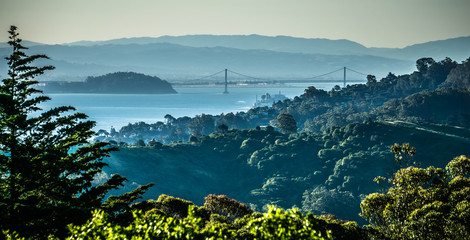 muir beach on pacific ocean coast in california