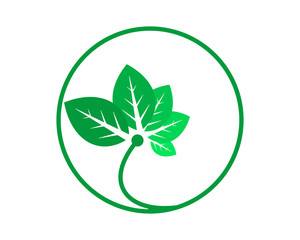 circle green silhouette leaves leaf icon image vector