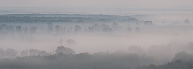 Landscape panorama with fog