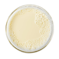 Cup with soy milk bubble foam isolated on white background on top view