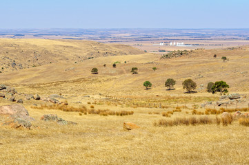 Fototapeta premium Steep, dry and rocky pasture between Angaston and Murray Bridge - SA, Australia