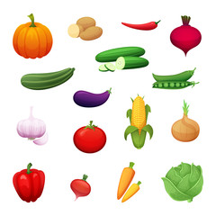 Cartoon illustration of healthy vegetables grown on a farm. A set of elements for your design. Vector Icons for signage, menus, banners and sections