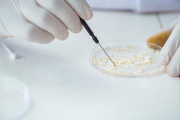Female scientist researcher conducting an experiment in a labora