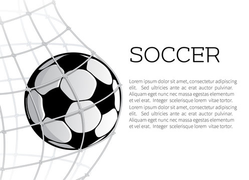 Soccer ball in net or goal design