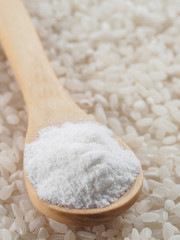 rice flour in wooden spoon and rice grains. whole-grain rice flour on rice grains background. Copy space.