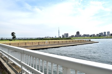 荒川河川敷からの東京スカイツリー 堀切橋方面