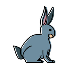 Rabbit animal cartoon icon vector illustration graphic design