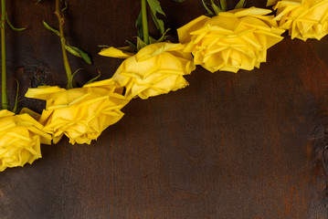 Beautiful yellow roses on a dark wooden background.