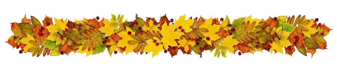 Naklejka na ściany i meble Autumn garland fron colorful leaves and berries
