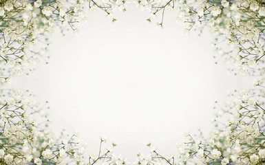 Obraz premium Białe kwiaty tło