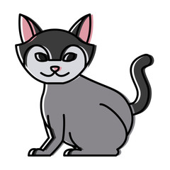 Cat animal cartoon icon vector illustration graphic design