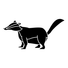 Skunk animal cartoon icon vector illustration graphic design