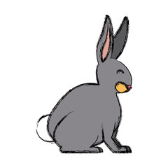 Rabbit animal cartoon icon vector illustration graphic design