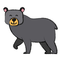 bear cartoon animal icon vector illustration graphic design