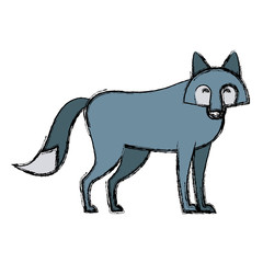 Fox animal cartoon icon vector illustration graphic design