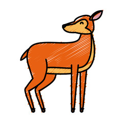 Deer animal cartoon icon vector illustration graphic design