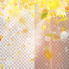 Autumn concept template with copy space. EPS 10 vector