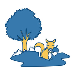 Squirrel animal cartoon icon vector illustration graphic design