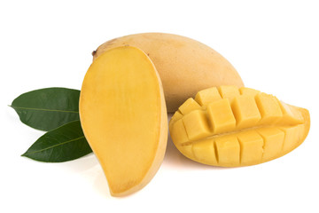 Mango fruit on white background
