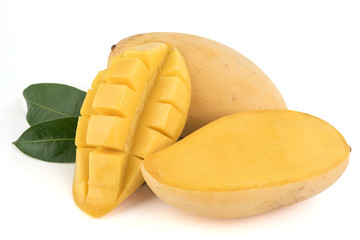 Mango fruit on white background