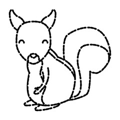 Squirrel animal cartoon icon vector illustration graphic design
