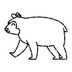 bear cartoon animal icon vector illustration graphic design