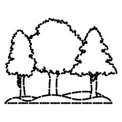 Beautiful forest landscape icon vector illustration graphic design