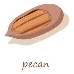 Pecan icon, isometric 3d style