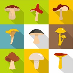 Edible mushrooms icon set, flat style