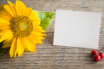 Naklejka na ściany i meble White blank greeting card with big, beautiful yellow sunflower on the wooden table. Empty place for a text.