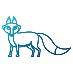 Fox animal cartoon icon vector illustration graphic design