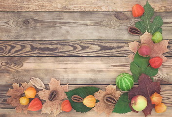 Autumn harvest background. Horizontal texture of tree. Copy spase. Top view